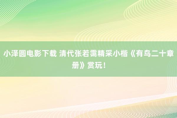 小泽圆电影下载 清代张若霭精采小楷《有鸟二十章册》赏玩！