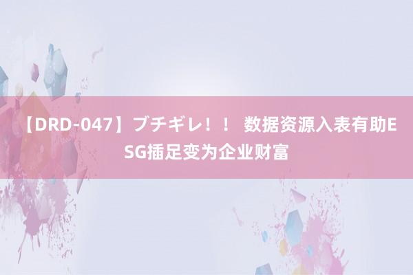 【DRD-047】ブチギレ！！ 数据资源入表有助ESG插足变为企业财富