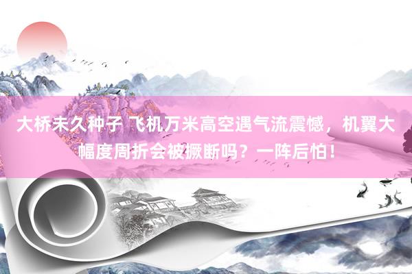 大桥未久种子 飞机万米高空遇气流震憾，机翼大幅度周折会被撅断吗？一阵后怕！