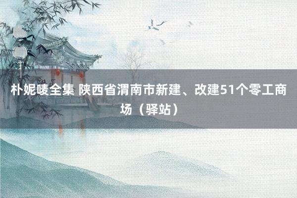 朴妮唛全集 陕西省渭南市新建、改建51个零工商场（驿站）