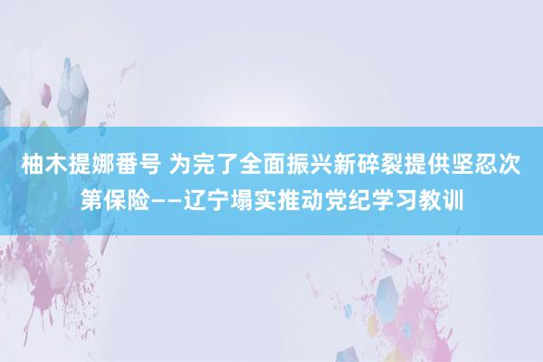 柚木提娜番号 为完了全面振兴新碎裂提供坚忍次第保险——辽宁塌实推动党纪学习教训