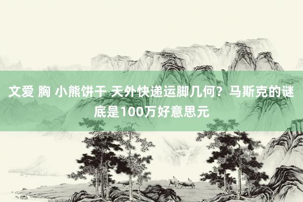 文爱 胸 小熊饼干 天外快递运脚几何？马斯克的谜底是100万好意思元