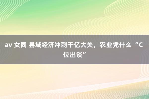 av 女同 县域经济冲刺千亿大关，农业凭什么 “C 位出谈”