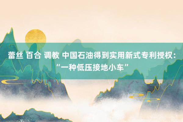 蕾丝 百合 调教 中国石油得到实用新式专利授权：“一种低压接地小车”