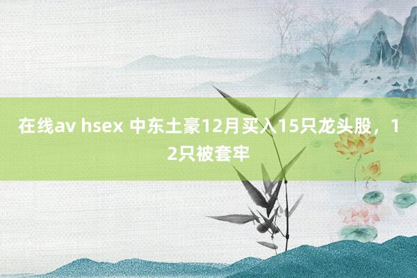 在线av hsex 中东土豪12月买入15只龙头股，12只被套牢