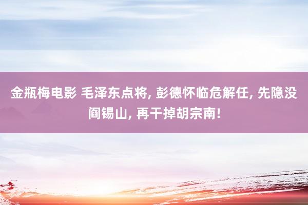 金瓶梅电影 毛泽东点将, 彭德怀临危解任, 先隐没阎锡山, 再干掉胡宗南!