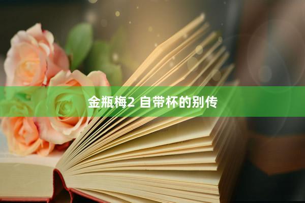 金瓶梅2 自带杯的别传