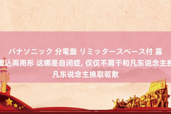 パナソニック 分電盤 リミッタースペース付 露出・半埋込両用形 这哪是自闭症, 仅仅不屑于和凡东说念主换取驱散