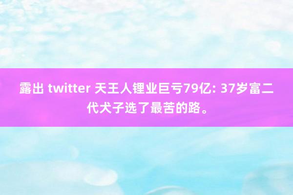 露出 twitter 天王人锂业巨亏79亿: 37岁富二代犬子选了最苦的路。
