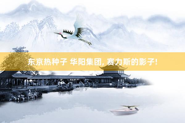 东京热种子 华阳集团, 赛力斯的影子!