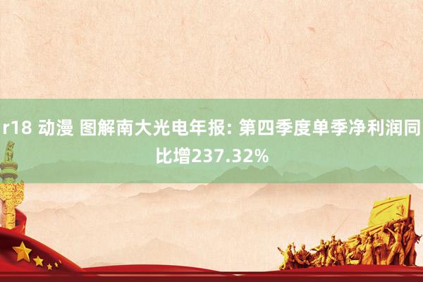 r18 动漫 图解南大光电年报: 第四季度单季净利润同比增237.32%