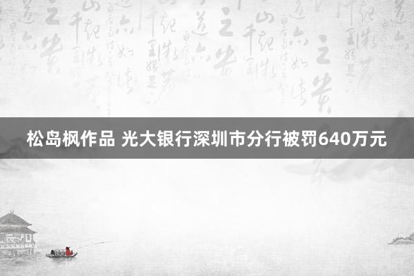 松岛枫作品 光大银行深圳市分行被罚640万元