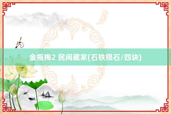 金瓶梅2 民间藏家(石铁陨石/四块)