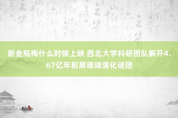 新金瓶梅什么时候上映 西北大学科研团队解开4.67亿年前黑珊瑚演化谜团