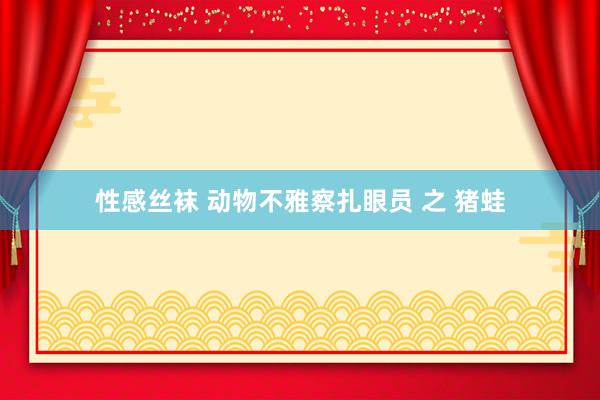 性感丝袜 动物不雅察扎眼员 之 猪蛙