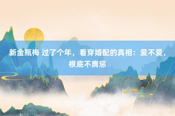 新金瓶梅 过了个年，看穿婚配的真相：爱不爱，根底不膺惩
