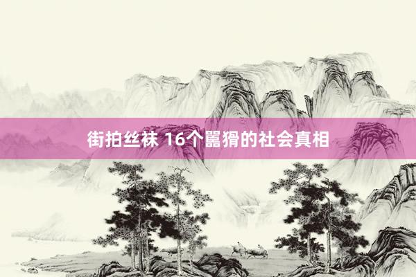 街拍丝袜 16个嚚猾的社会真相