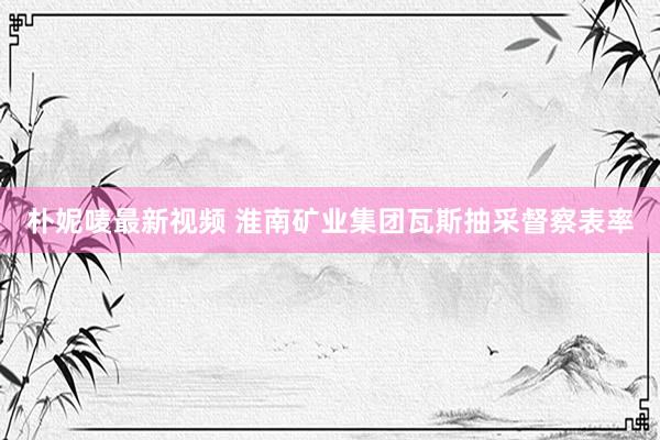 朴妮唛最新视频 淮南矿业集团瓦斯抽采督察表率