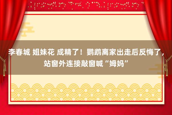 李春城 姐妹花 成精了！鹦鹉离家出走后反悔了，站窗外连接敲窗喊“姆妈”