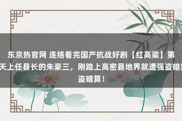 东京热官网 连络看完国产抗战好剧【红高粱】第一天上任县长的朱豪三，刚踏上高密县地界就遭强盗暗算！